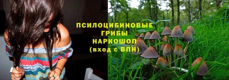 Галлюциногенные грибы MAGIC MUSHROOMS  Фёдоровский 